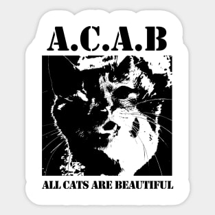 All Cats Are Beautiful Sticker